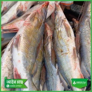 Nodir-Ayer-1kg