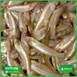 Batashi Mach