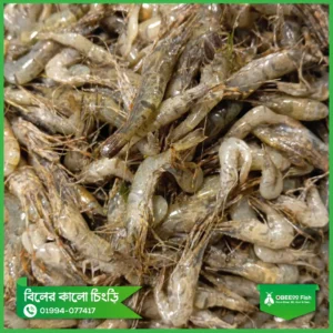 বিলের কালো চিংড়ি