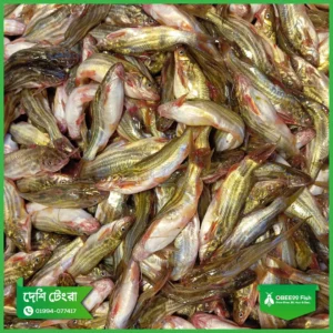 Deshi-Tengra