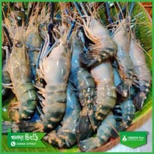 Golda-Chingri-4-5-Pcs