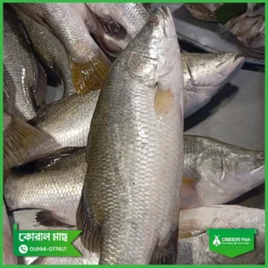 Koral-2kg