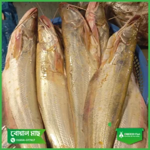 Nodir-Boal-1kg