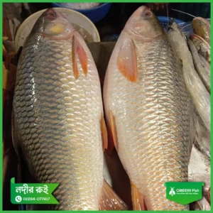 Nodir-Rui-6kg