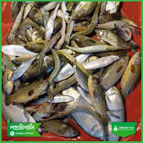 Pachmishali-Mach