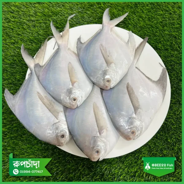 Rupchanda-3-4-pcs