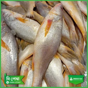 Sea-Poa
