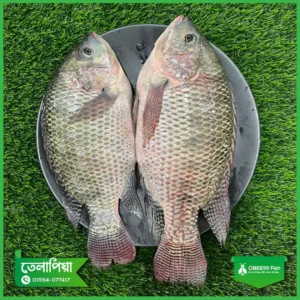 Telapia