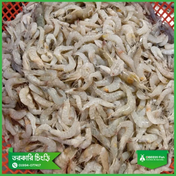 Torkari-Chingri